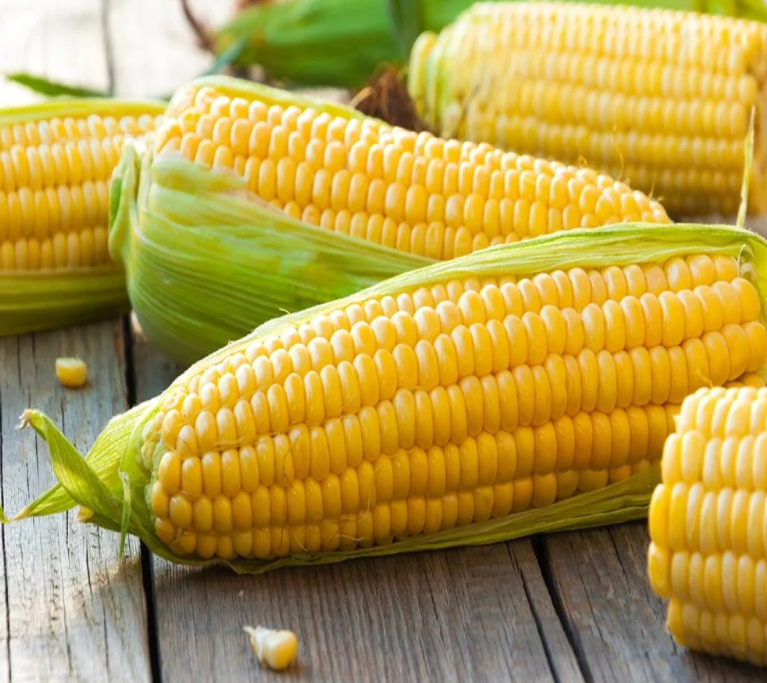 Sweet Corn